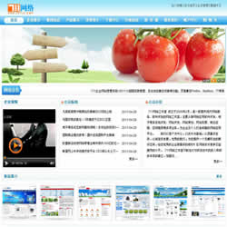 企业网站系统, 711企业网站系统V2011.5